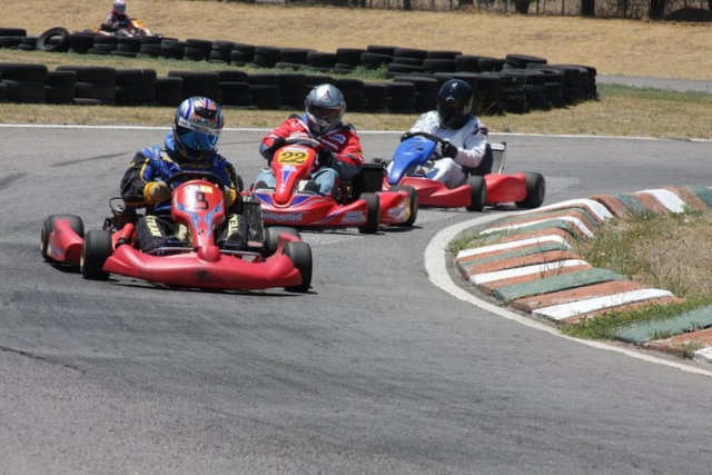 Karts adulto